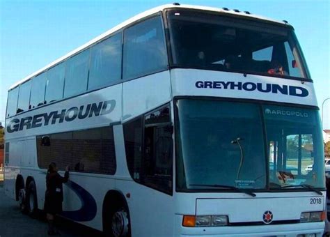 Greyhound bus shipping. Things To Know About Greyhound bus shipping. 